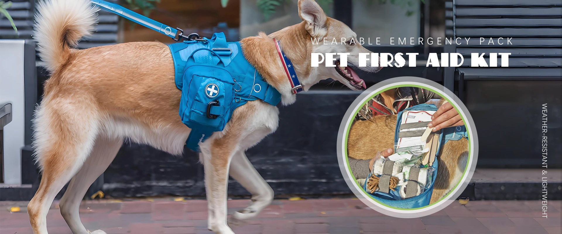 Pet Pet First Aid Kit производитель